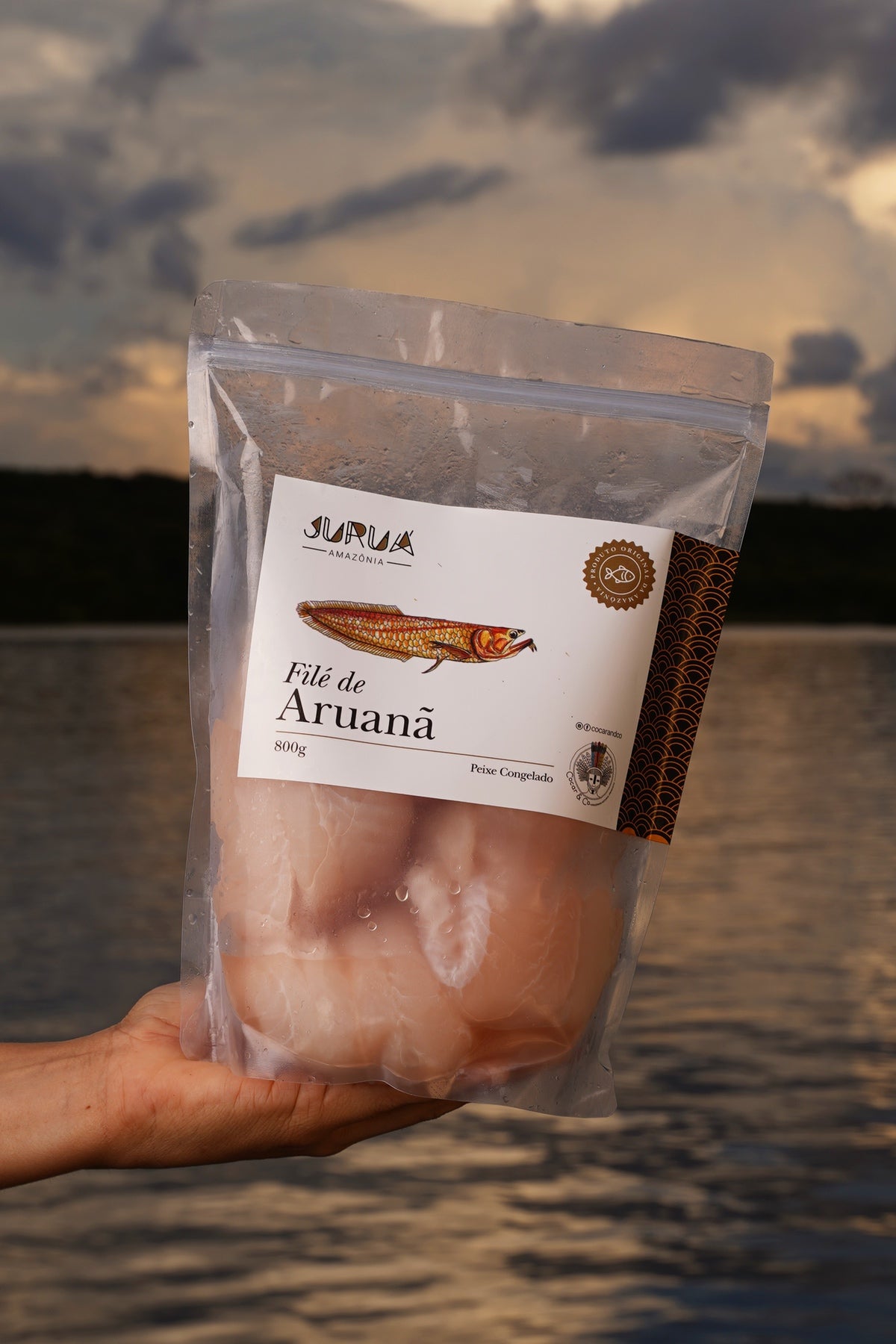 Filé de Aruanã - pct 800g